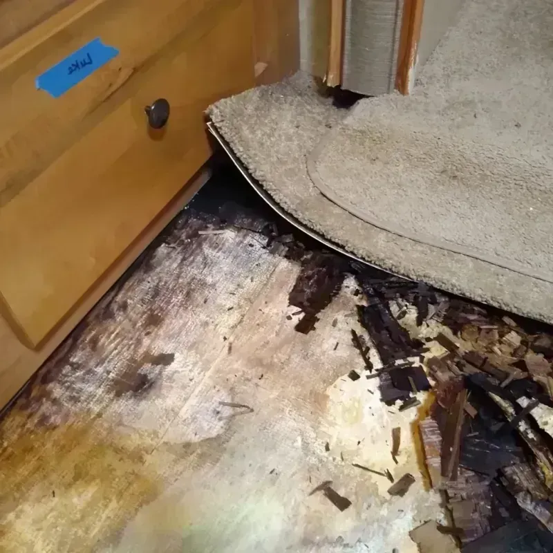 Best Wood Floor Water Damage Service in Pawnee County, OK